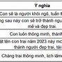 Bé Trai 2023 Hợp Tuổi Nào