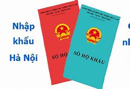 Cách Nhập Khẩu Về Hà Nội