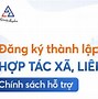 Chính Sách Phát Triển Htx Tại Việt Nam 2023