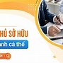 Hồ Sơ Pháp Lý Của Hộ Kinh Doanh Cá Thể