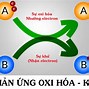 Quá Trình Khử Cực Là Gì